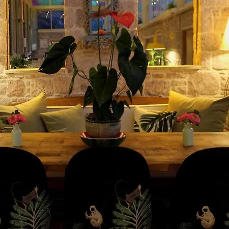 Ina Cunda Art Ayvalı